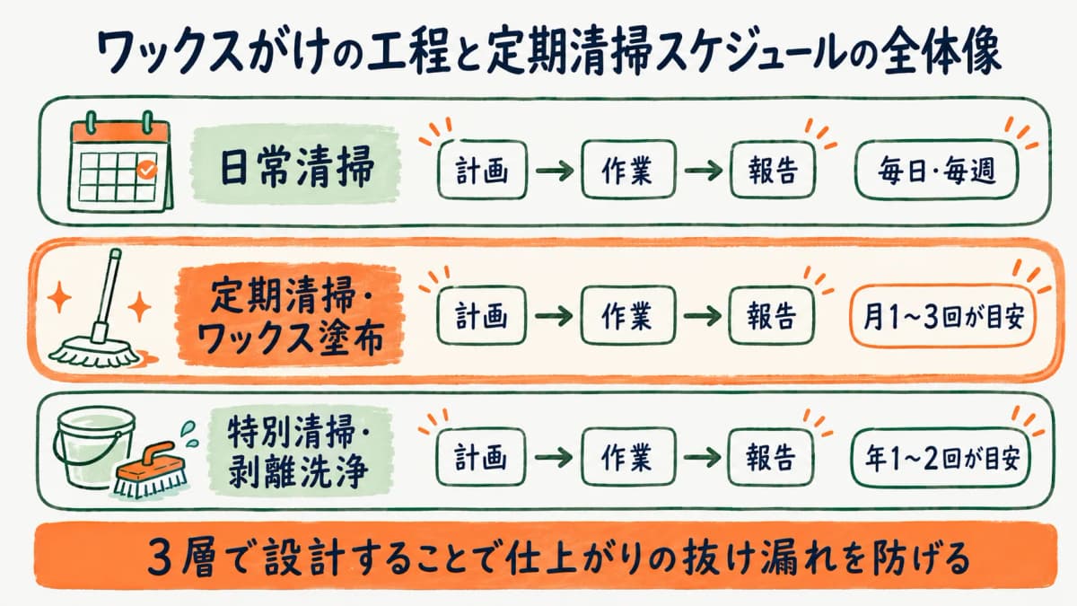床のワックスがけの工程と定期清掃スケジュールの全体像を示す図