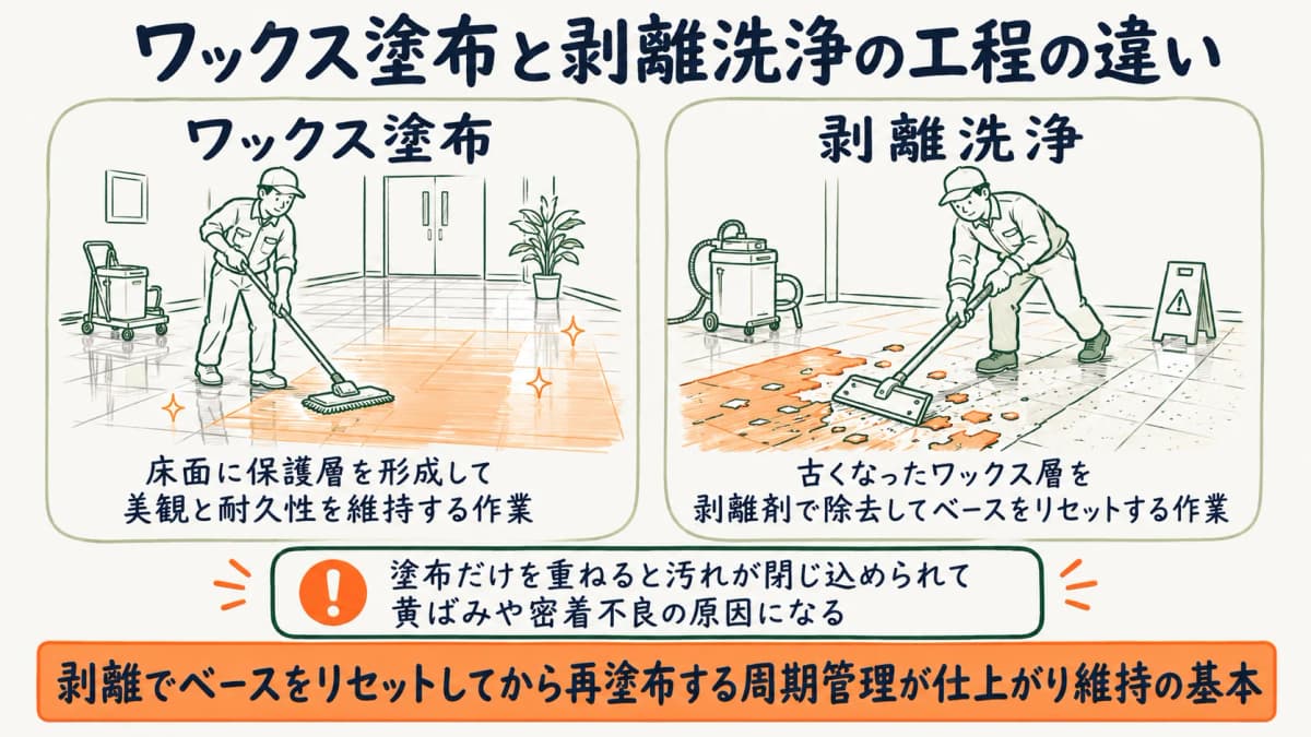 ワックス塗布と剥離洗浄の工程の違いを比較した図